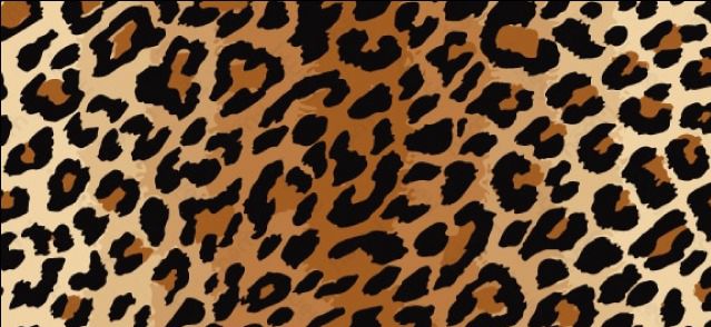 10A Body Bendecida, With Stones - Made to order